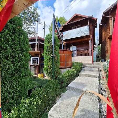 Вілла Casa Diana Nucsoara  Екстер'єр фото